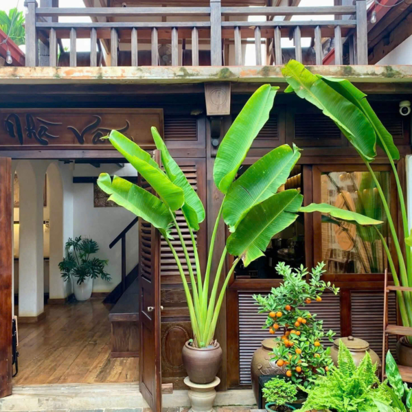 Sửa chữa, cải tạo quán trà ở Sơn Tây